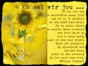 Gedig van Sonja Peacock - Ek sal vir jou...